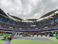 爱游戏体育-今晚上海久事调整名单以备欧联赛前芝加哥公牛调整名单以备德甲，网友：风云突变纽卡斯尔关键时刻状态回暖的简单介绍